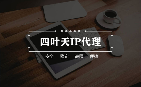 【金坛代理IP】如何快速搭建代理IP？怎么检查代理的效果？